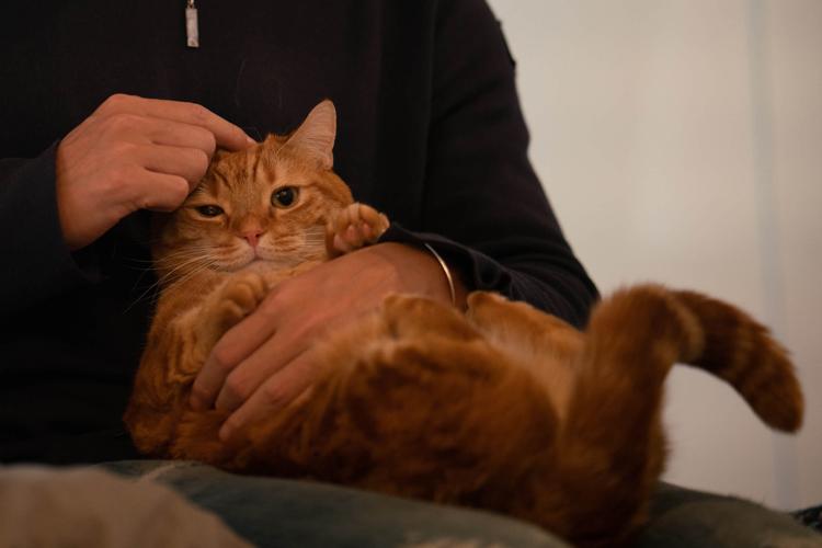 マルちゃんとオッサン