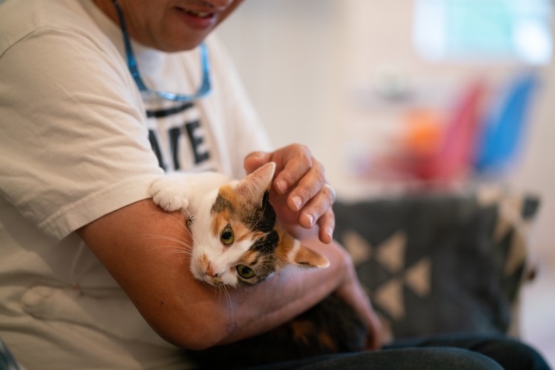 ふみ