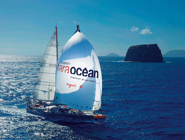 大海原を航行して環境調査を行うタラ号。