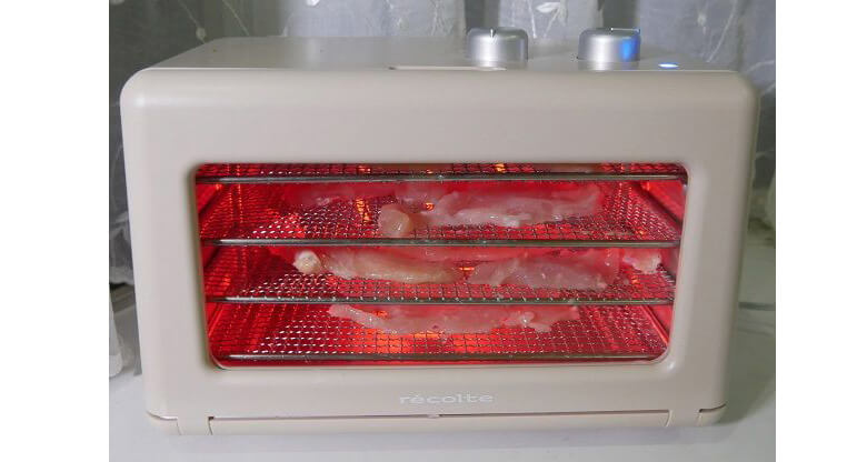 日本ではあまりになじみのないフードドライヤーだが、海外では人気の家電（筆者撮影）