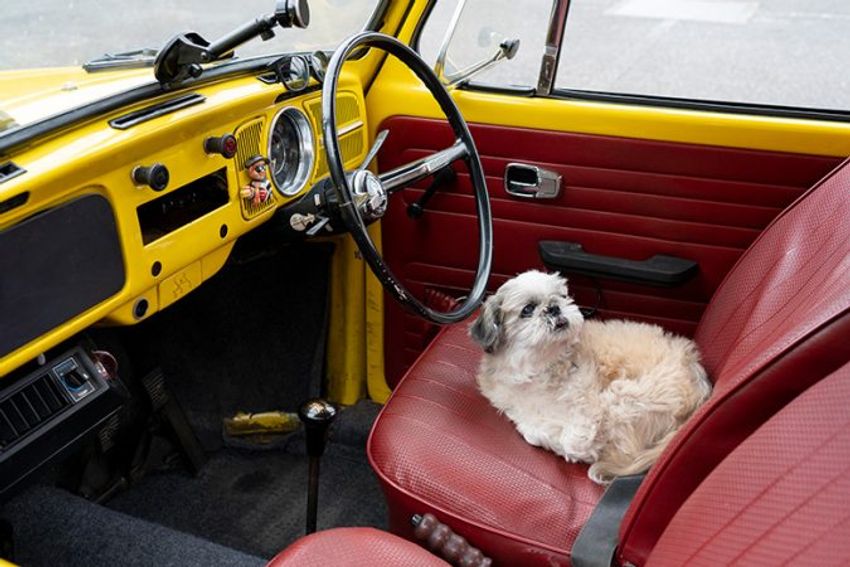 100万km以上走っているワーゲン・ビートル。アーティスト「ヒロセガイ」が語るこだわり - 16枚目の画像