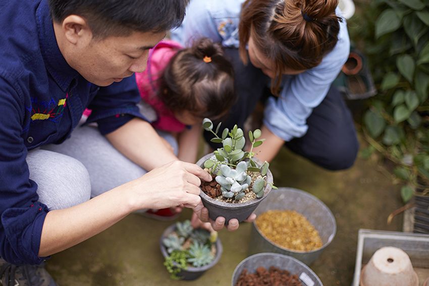 第6回イベントレポート！西海岸を感じる”男の鉢植え”デビュー!! - 7枚目の画像