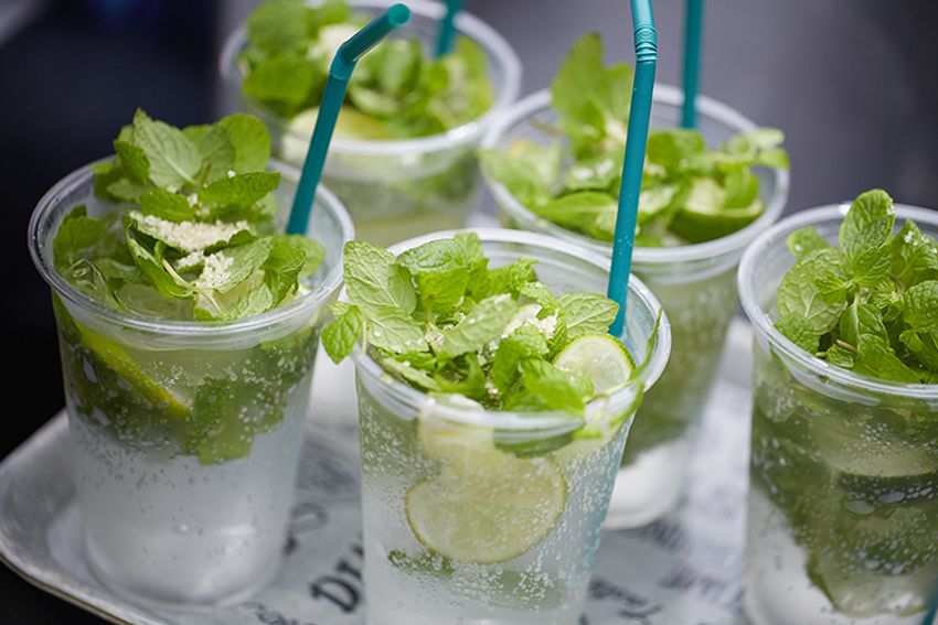 第6回イベントレポート！西海岸を感じる”男の鉢植え”デビュー!! - 2枚目の画像