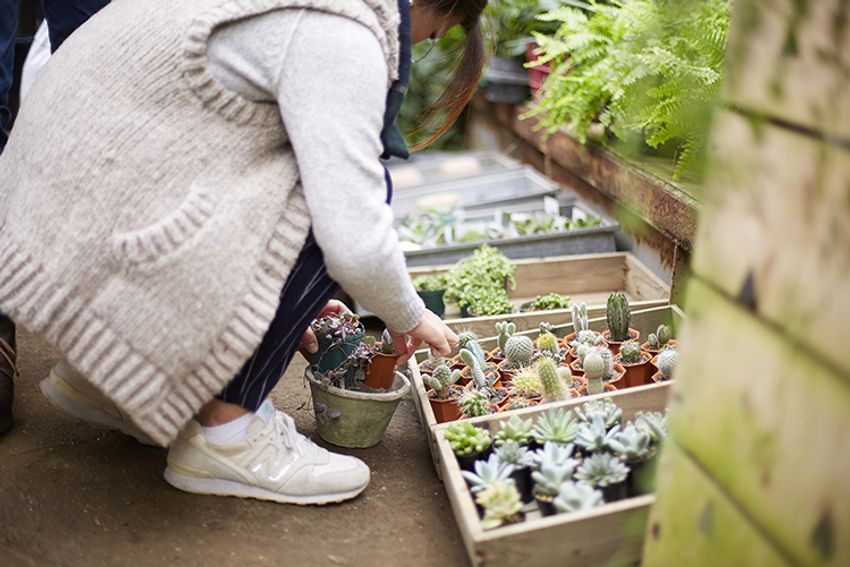 第6回イベントレポート！西海岸を感じる”男の鉢植え”デビュー!! - 3枚目の画像