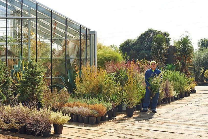 熊谷隆志さんの最新プランツ・ハンティングで向かった先とその成果 - 2枚目の画像