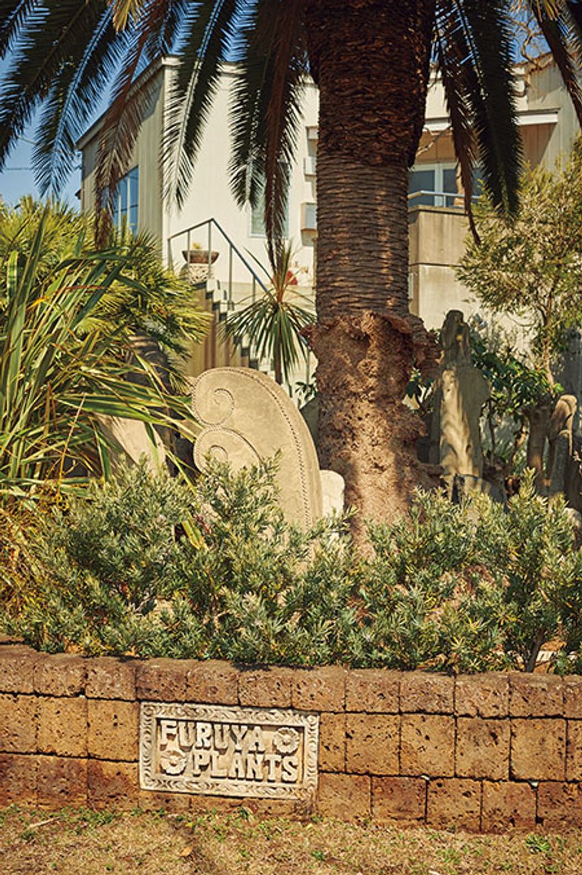 熊谷隆志さんの最新プランツ・ハンティングで向かった先とその成果 - 19枚目の画像