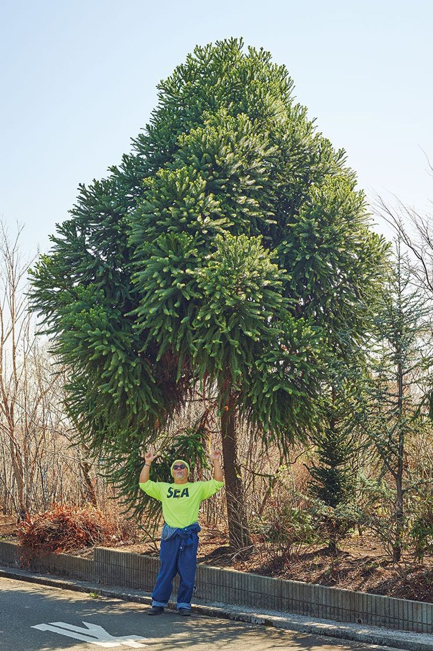 熊谷隆志さんの最新プランツ・ハンティングで向かった先とその成果 - 5枚目の画像