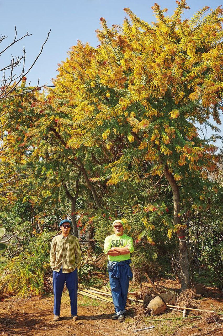 熊谷隆志さんの最新プランツ・ハンティングで向かった先とその成果 - 7枚目の画像