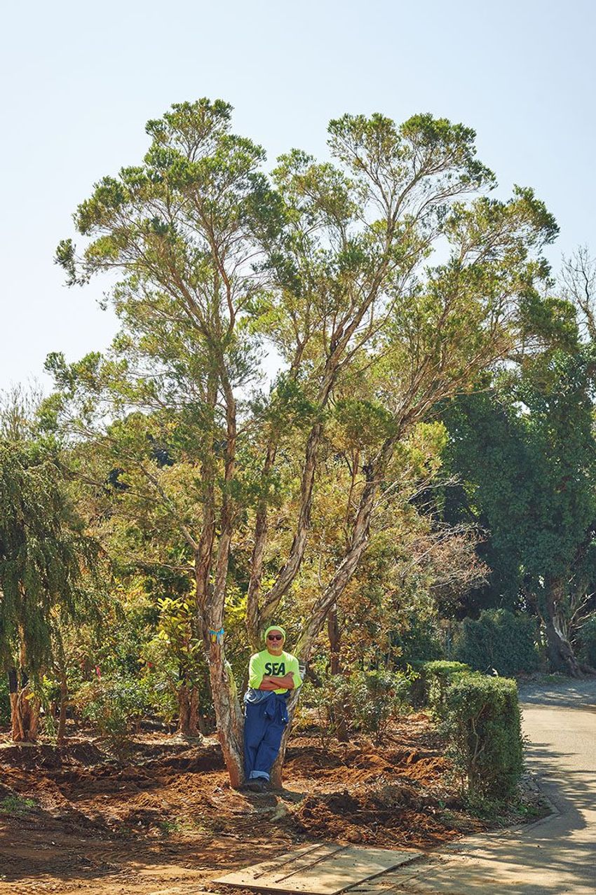 熊谷隆志さんの最新プランツ・ハンティングで向かった先とその成果 - 6枚目の画像