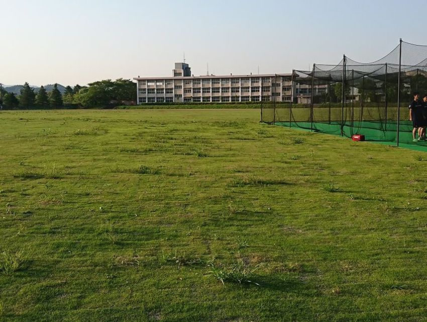 「100%アスリートでいたい」クリケットに転向した木村昇吾の思い - 3枚目の画像