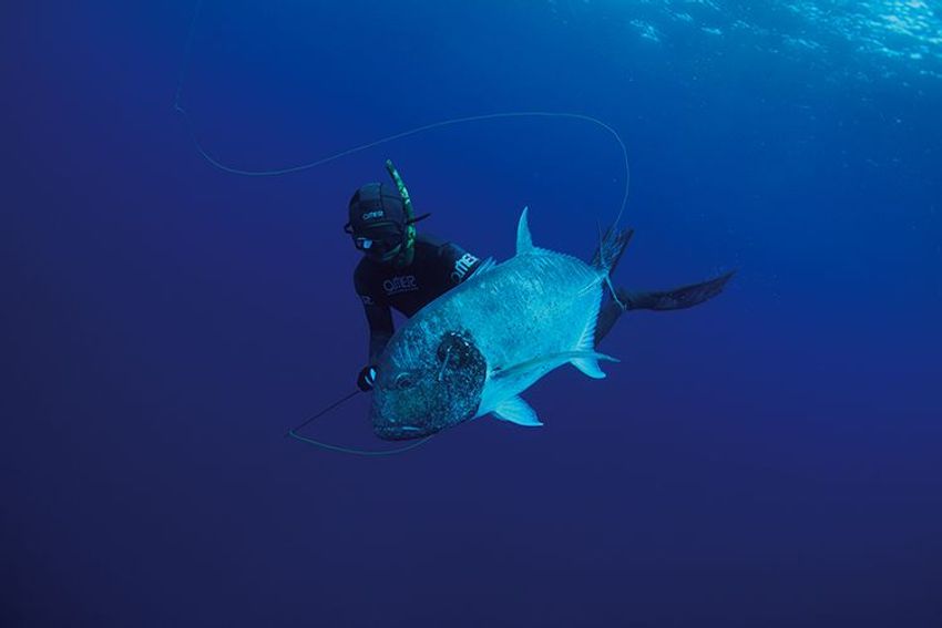 息をのむほど美しい水面下の静寂。精神も解放する感動の海へ - 3枚目の画像