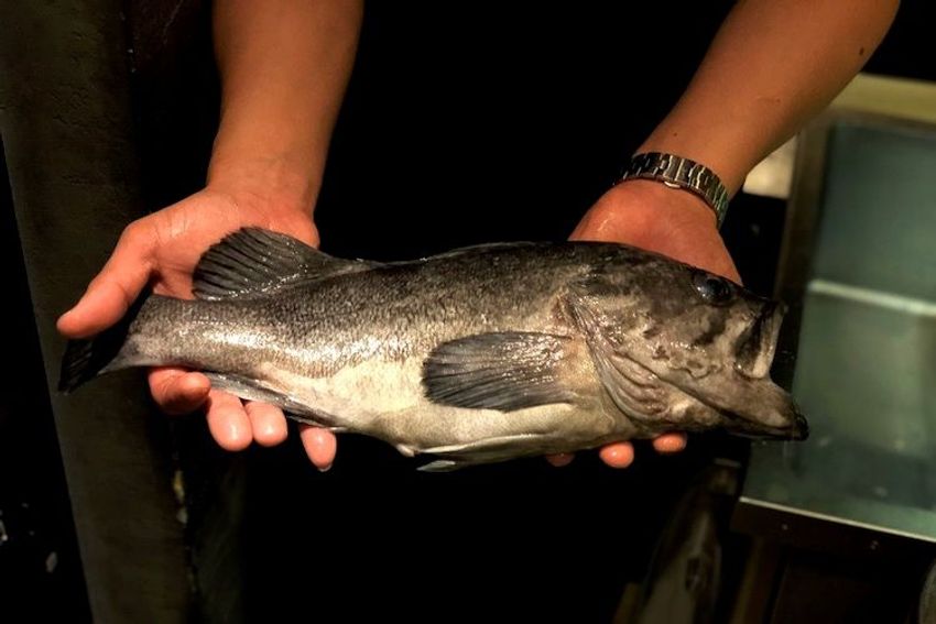 中野のおでんバルで、天才的な絵を描く看板娘にキュンとした - 14枚目の画像