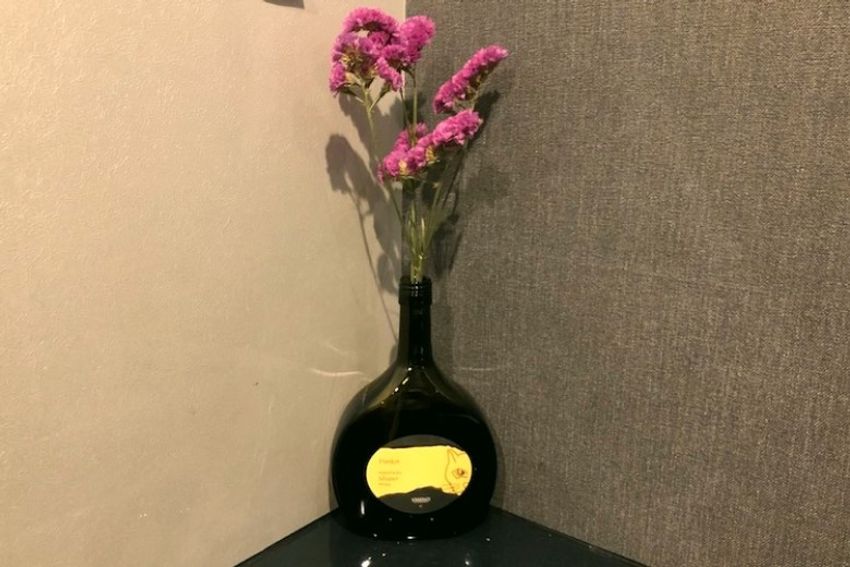 大井町の立ち飲みバーで、看板娘の実家猫が“ワイルド”だった - 4枚目の画像