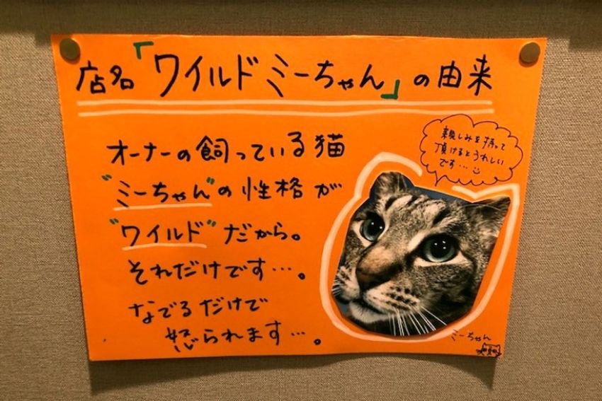 大井町の立ち飲みバーで、看板娘の実家猫が“ワイルド”だった - 14枚目の画像