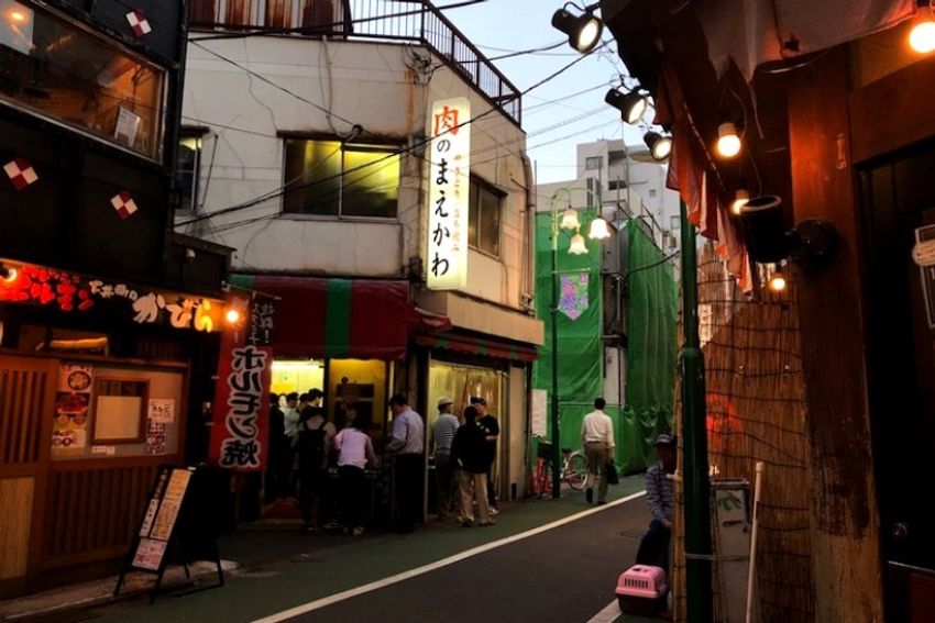 大井町の立ち飲みバーで、看板娘の実家猫が“ワイルド”だった - 12枚目の画像