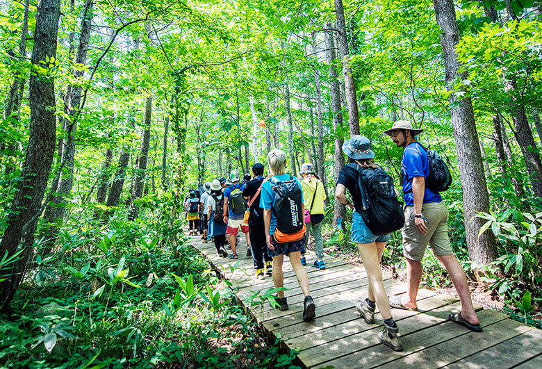 のべ3,000人以上のボランティアの手によって作られた林道『ボードウォーク』／フジロックフェス