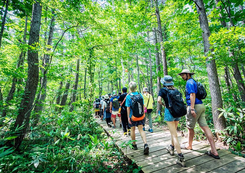 フジロックでキャンプも満喫するなら知っておきたい8つのスポット - 2枚目の画像