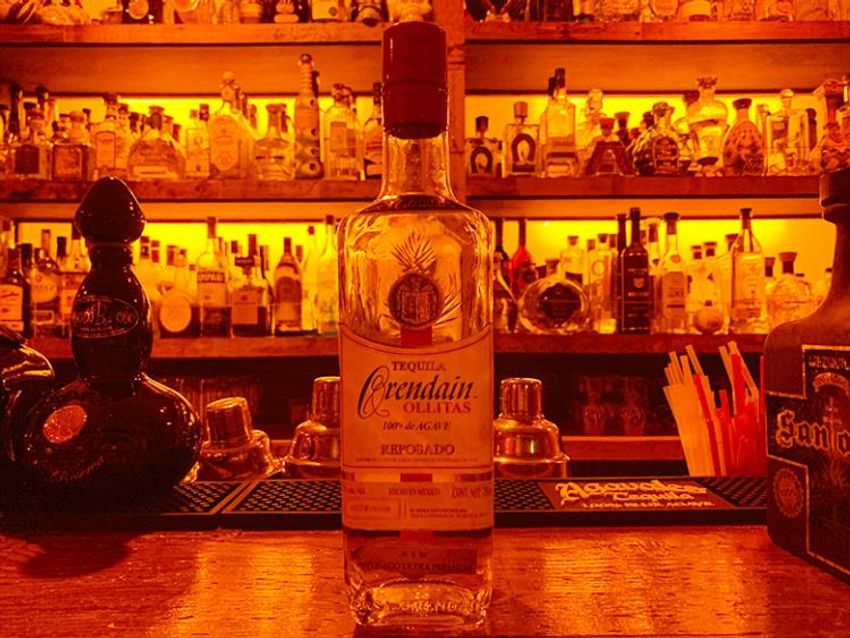 これ飲みゃ絶対ハマる！ 600種から厳選した3つのテキーラで酒の初体験 - 3枚目の画像