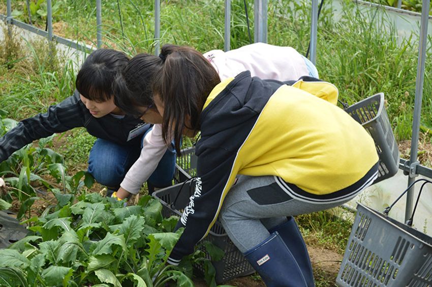 夏休みは親子で「農業」を。土から知る学校では教えてくれない大切なこと - 2枚目の画像