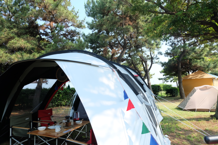 コールマンに直撃！ 現地でドギマギしないためのキャンプの基本 Q＆A - 13枚目の画像