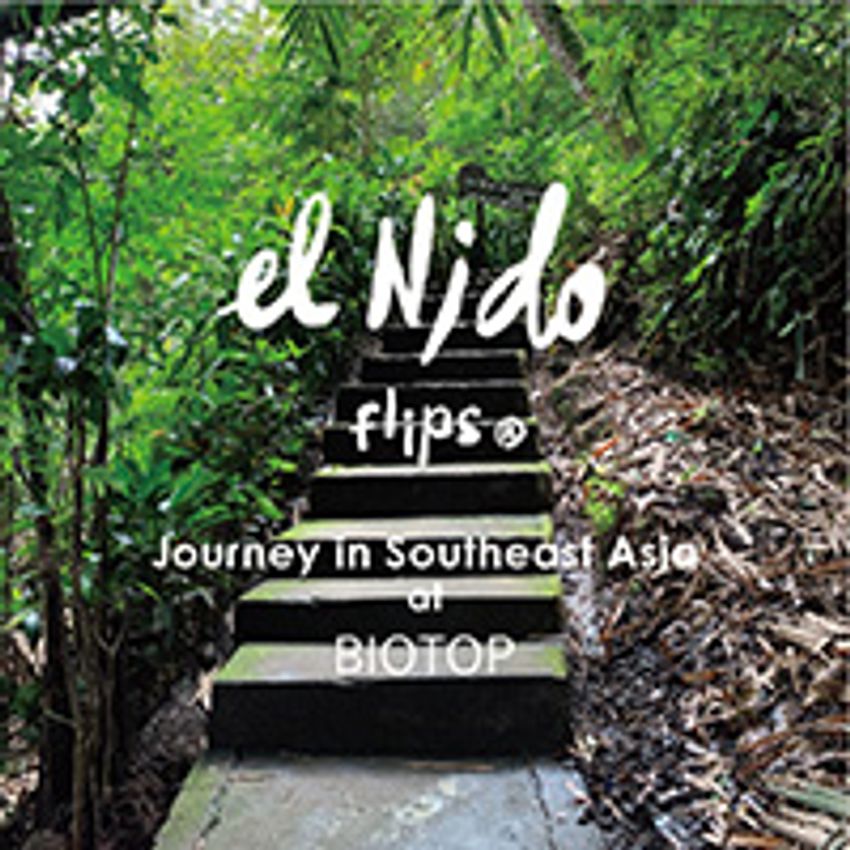 話題のサンダルブランド「エルニド フリップス」のポップアップ、明日開店！ - 5枚目の画像