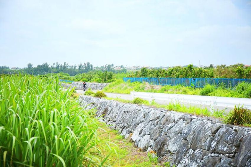 知らなかった沖縄に出会う。東海岸リゾートをゆくRide &SPAの旅 - 8枚目の画像