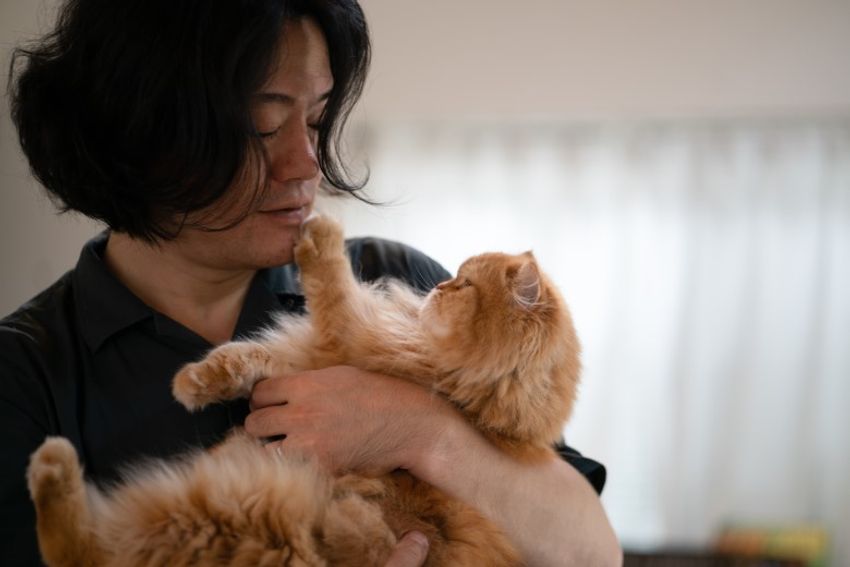 好対照な性格でご主人を虜にするペアネコ・ジンジャー&クミン - 14枚目の画像