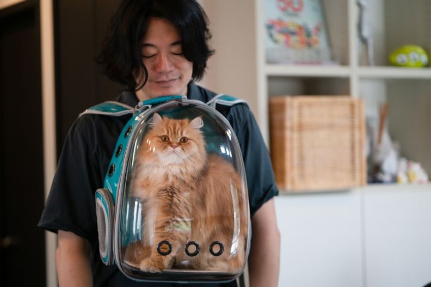 好対照な性格でご主人を虜にするペアネコ・ジンジャー&クミン - 16枚目の画像