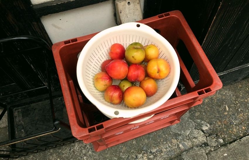 四谷荒木町の燻製酒場で、看板娘に心をやさしくスモークされた - 5枚目の画像