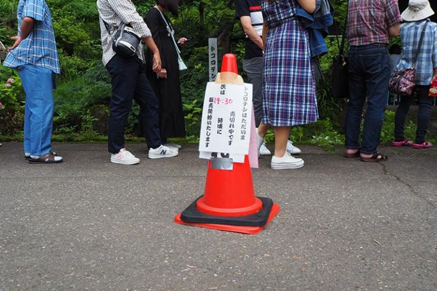 【結論】この夏は「日本一うまいところてん」を食べに新潟を目指せ - 6枚目の画像