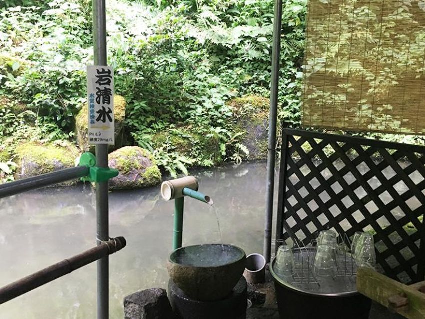 【結論】この夏は「日本一うまいところてん」を食べに新潟を目指せ - 13枚目の画像