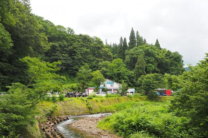 【結論】この夏は「日本一うまいところてん」を食べに新潟を目指せ - 3枚目の画像