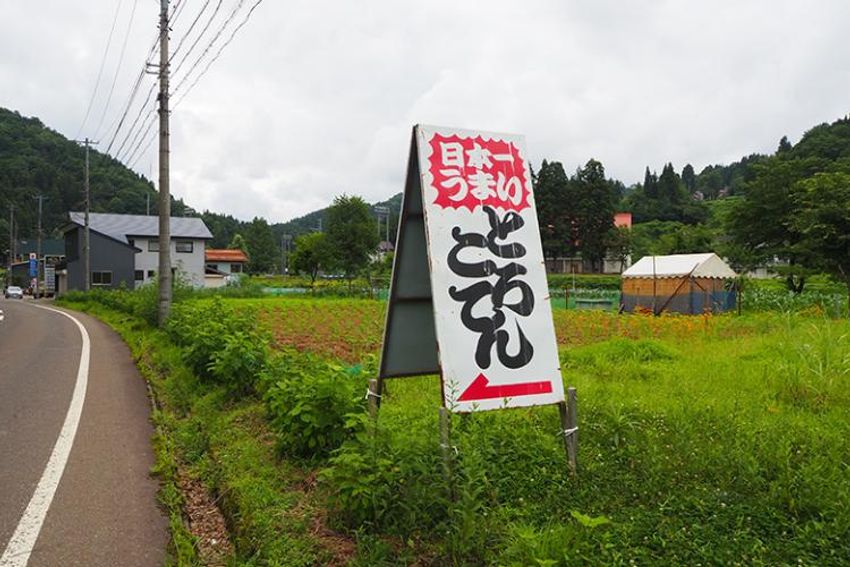 【結論】この夏は「日本一うまいところてん」を食べに新潟を目指せ - 2枚目の画像