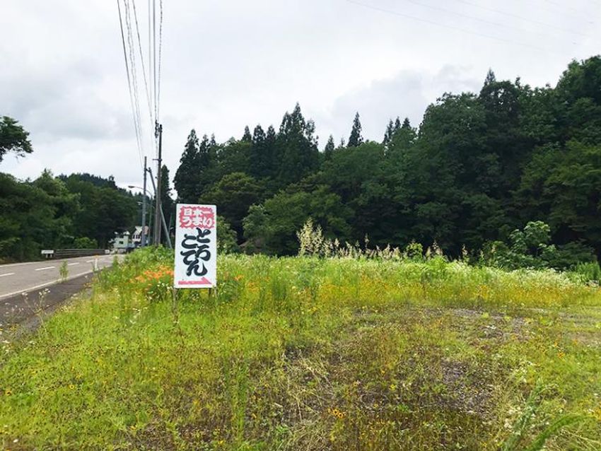 【結論】この夏は「日本一うまいところてん」を食べに新潟を目指せ - 1枚目の画像
