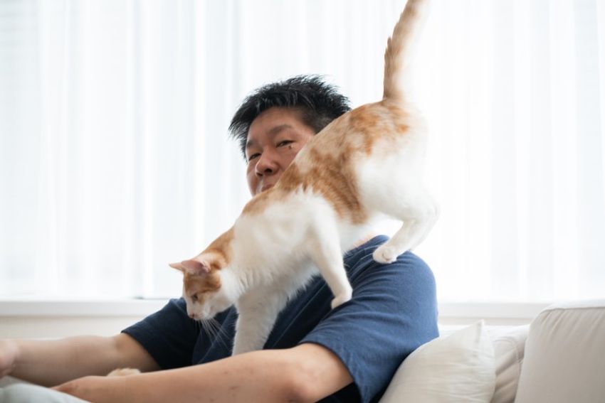 ほぼキャットモデル。沖縄兄弟ネコ・ちくわ&もなか - 15枚目の画像