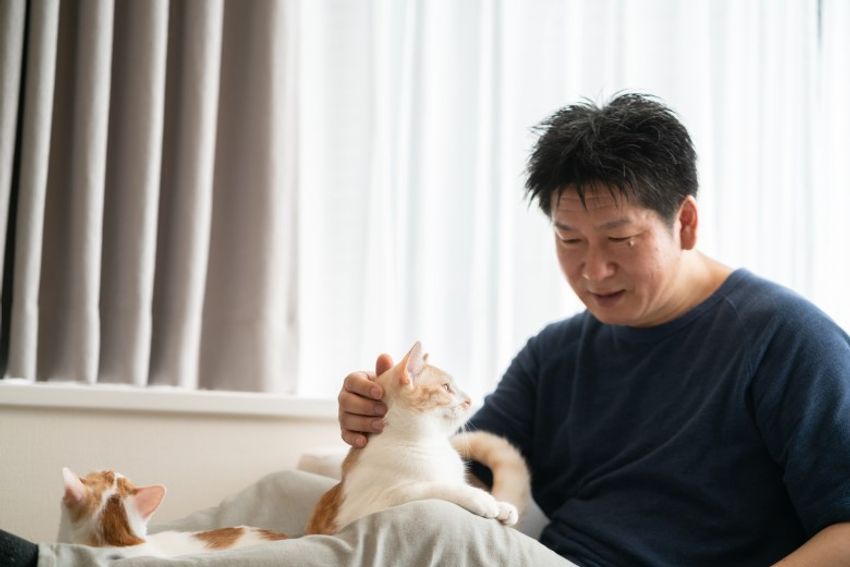 ほぼキャットモデル。沖縄兄弟ネコ・ちくわ&もなか - 16枚目の画像