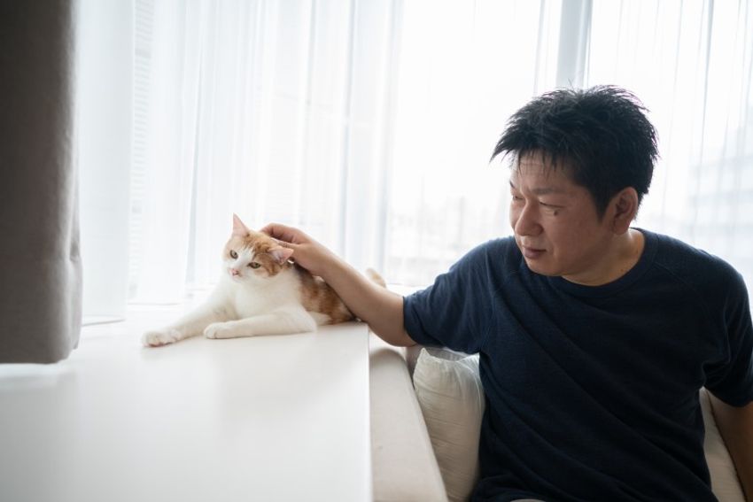 ほぼキャットモデル。沖縄兄弟ネコ・ちくわ&もなか - 10枚目の画像