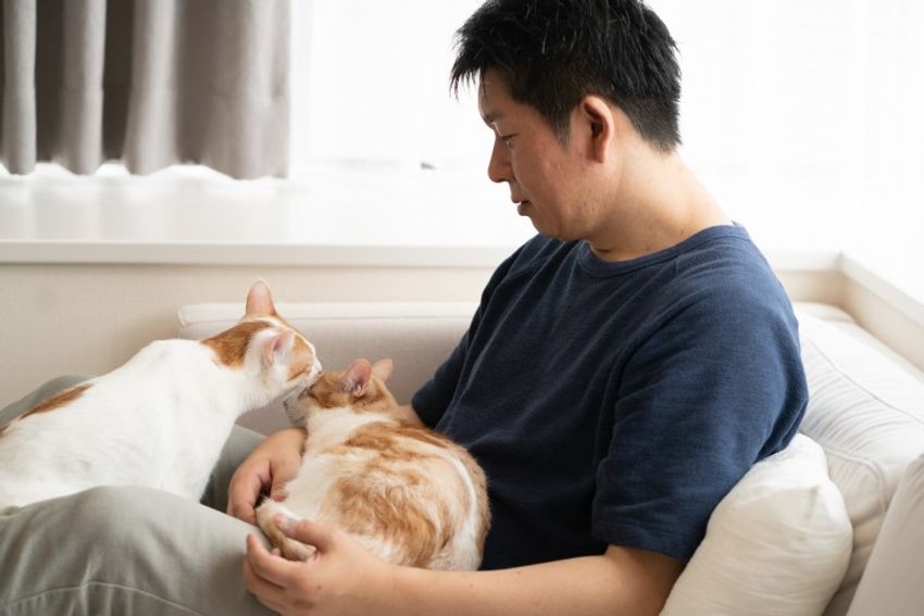 ほぼキャットモデル。沖縄兄弟ネコ・ちくわ&もなか - 19枚目の画像