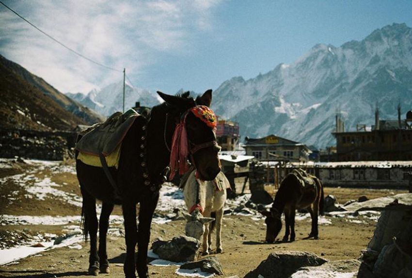 【海外編】夏休み中にトライする!? 山男・大石学のベストマウンテン3選 - 15枚目の画像