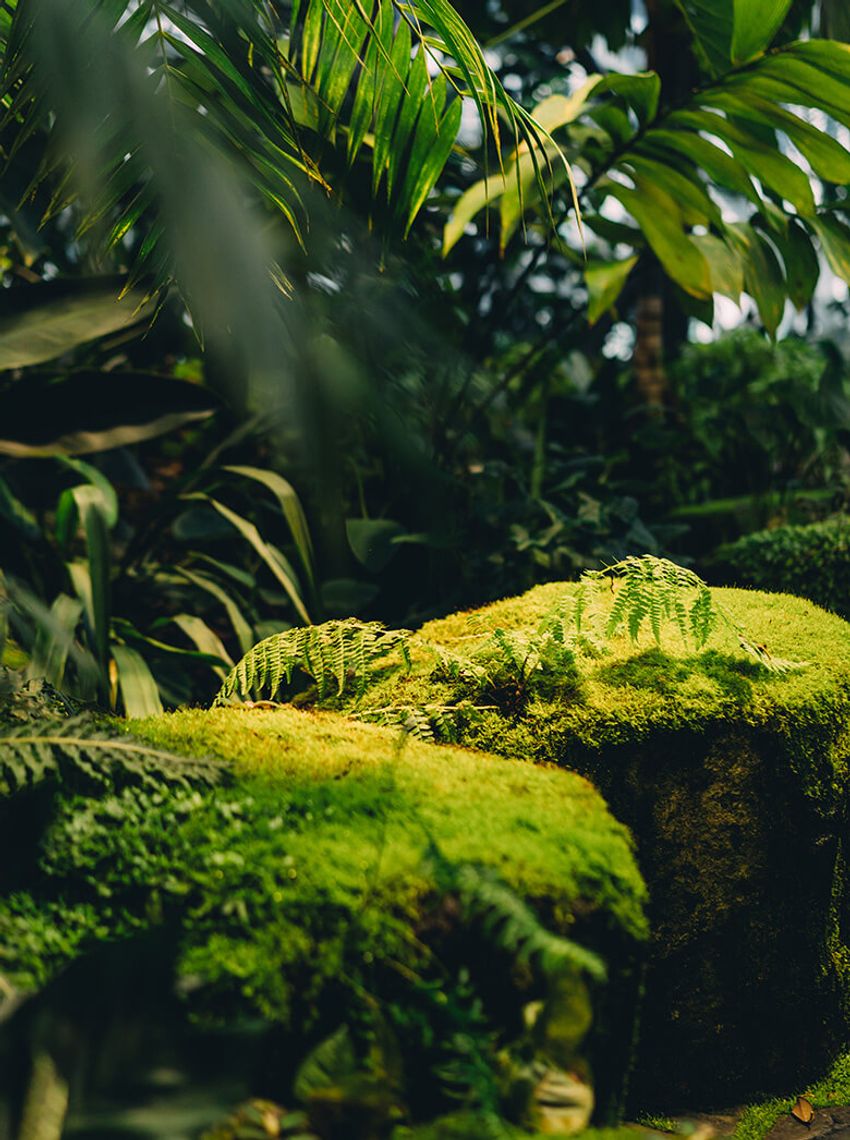 シアトルのAmazon本社に潜入したら、未来のライフスタイルが見えてきた - 4枚目の画像