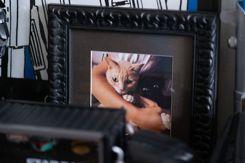 デボンレックスの歌姫ネコと王子様ネコ・メロウ&シモン - 16枚目の画像