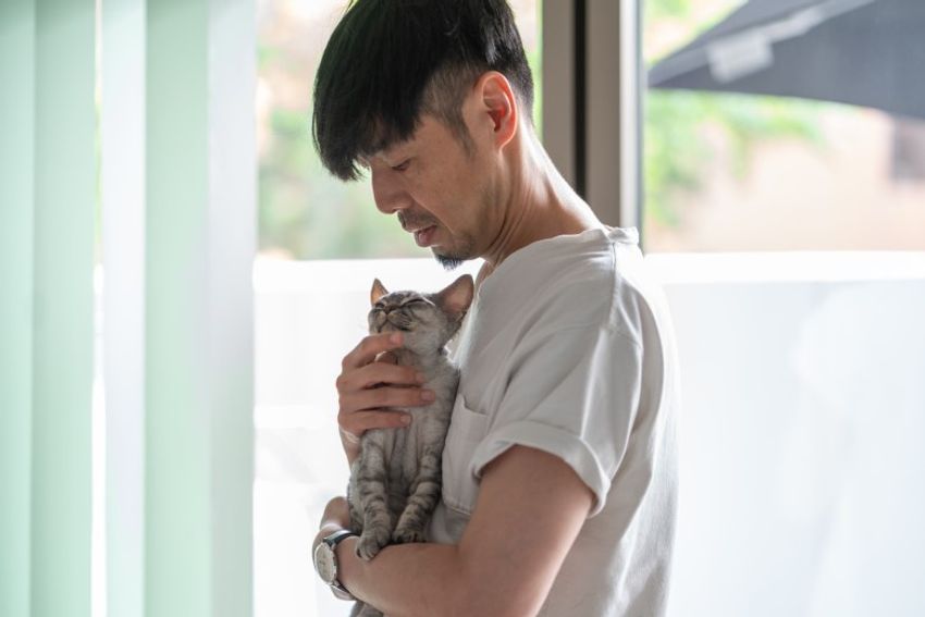 デボンレックスの歌姫ネコと王子様ネコ・メロウ&シモン - 13枚目の画像