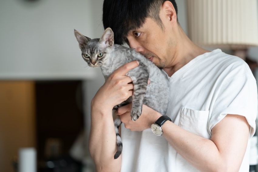 デボンレックスの歌姫ネコと王子様ネコ・メロウ&シモン - 20枚目の画像