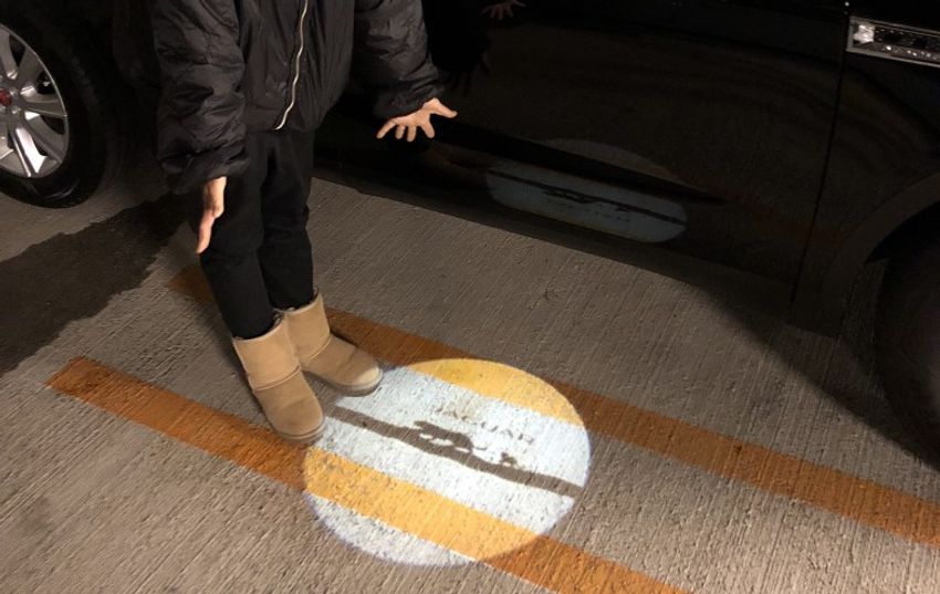 デボンレックスの歌姫ネコと王子様ネコ・メロウ&シモン - 18枚目の画像