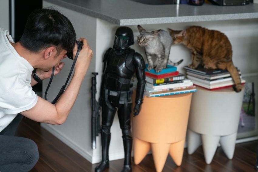 デボンレックスの歌姫ネコと王子様ネコ・メロウ&シモン - 24枚目の画像