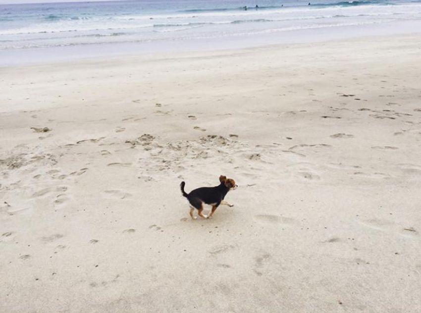 海男・三浦マーシーの「日本でサーフィンするならこのビーチ」3選 - 4枚目の画像