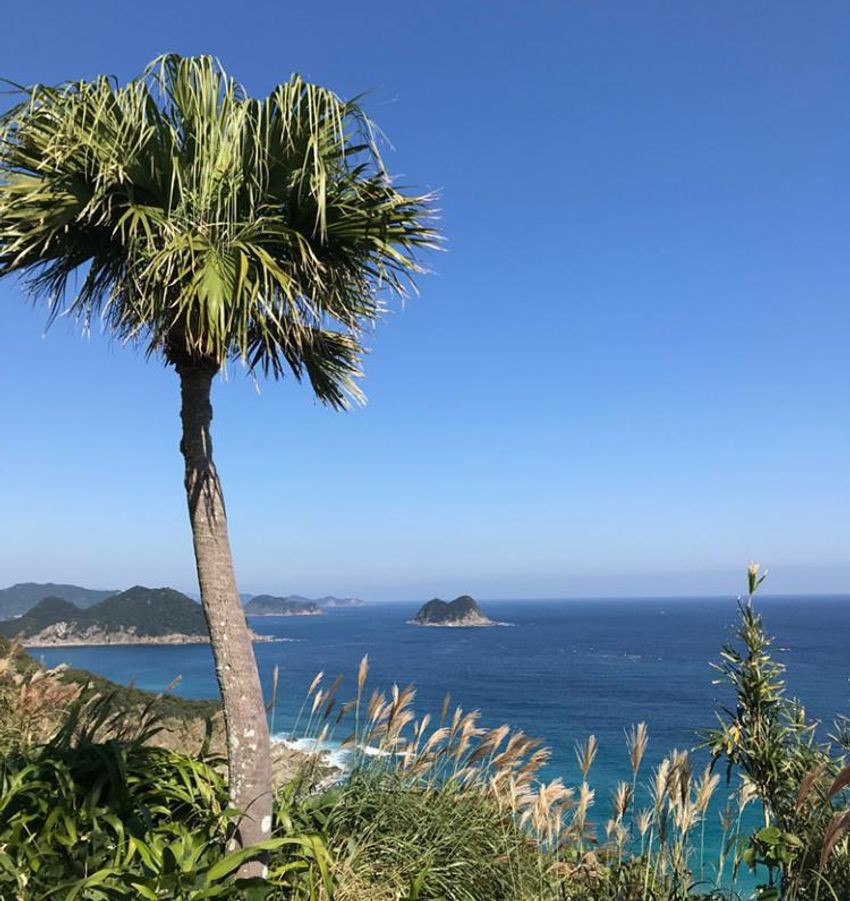 海男・三浦マーシーの「日本でサーフィンするならこのビーチ」3選 - 2枚目の画像