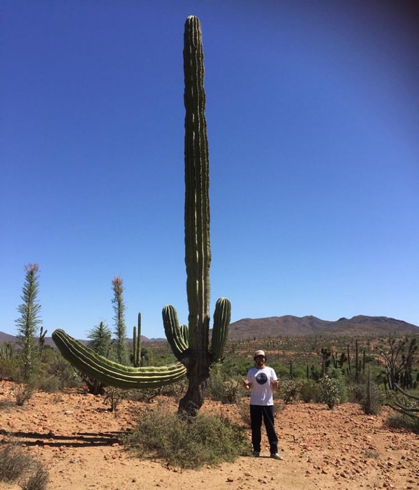 海男・三浦理志が選ぶ「死ぬまでにもう一度乗りたい」世界の海 - 7枚目の画像