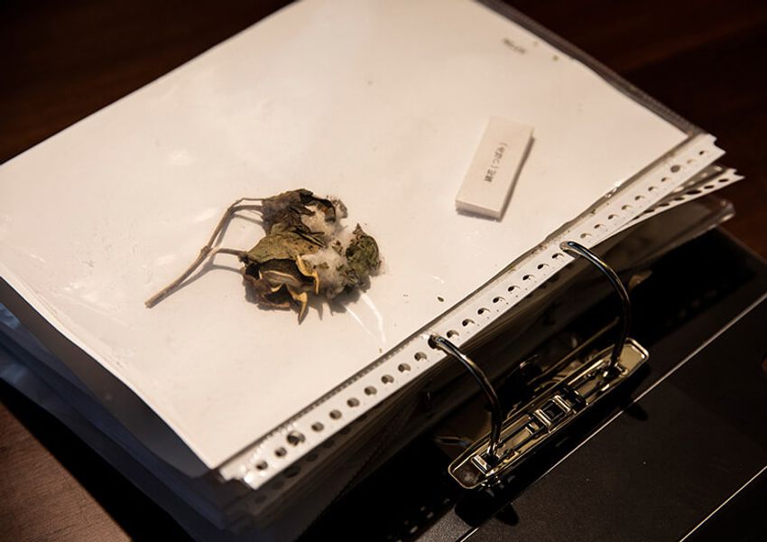 白Tシャツはどこまで違いが出る？ 業界屈指の生地ヲタに聞く素材の重要性 - 3枚目の画像