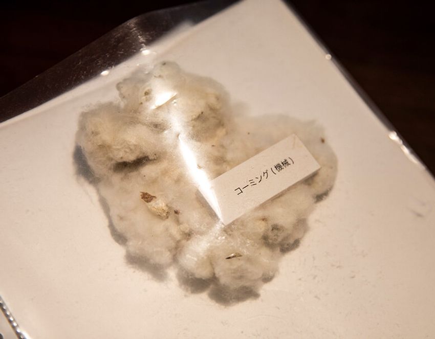 白Tシャツはどこまで違いが出る？ 業界屈指の生地ヲタに聞く素材の重要性 - 4枚目の画像